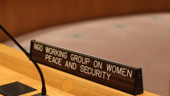 2024 Open Letter to Permanent Representatives to the United Nations in advance of the annual Open Debate on Women, Peace and Security